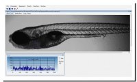 Viewpoint斑马鱼心跳血流观测软件 MicroZebraLab μZebraLab