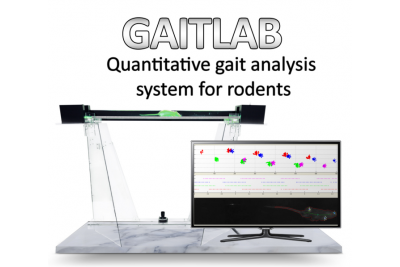 Gaitlab行为学研究自动化啮齿动物步态分析系统 