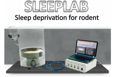 行为学研究啮齿动物睡眠剥夺系统SleepScore