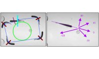 ViewpointZebraLab斑马鱼行为分析软件附加配置 - 旋转和直方图行为学研究