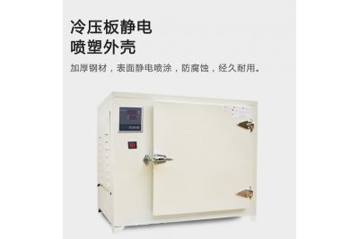  上海叶拓 高温烘箱恒温干燥箱500度 8401-0