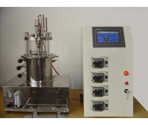  10L磁力搅拌玻璃发酵罐 实验室 定制
