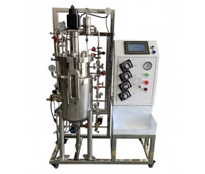  200L机械搅拌不锈钢发酵罐 实验室发酵罐 生物发酵罐
