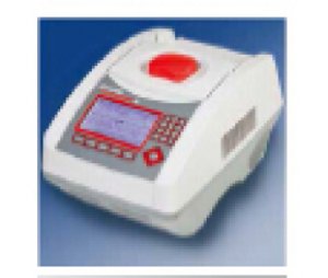 AxygenMaxyGeneII梯度PCR扩增仪THERM1001