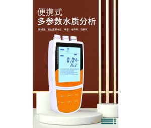便携式多参数检测仪 Bante900P-CN