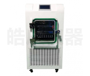 皓庄仪器冷冻干燥机-电加热-55℃系列 LNB-10FD-1
