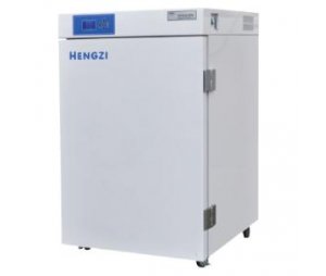  上海跃进升级型电热恒温培养箱HDPF-256