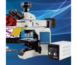 研究级正置荧光显微镜 MF43-N