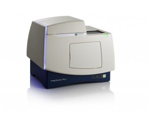美谷分子 双标记表达分析 ImageXpress Pico自动化细胞成像分析系统