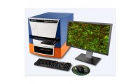 美谷分子 卓越的软件 SpectraMax MiniMax 300细胞成像系统