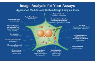 美谷分子 强大的生物图像分析能力 MetaMorph 细胞生物学成像分析