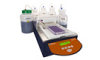 美谷分子 FIA（荧光免疫分析） MultiWash+微孔板洗板机