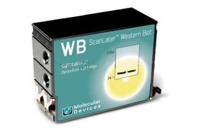 Western Blot 检测系统ScanLater Molecular Devices酶标仪美谷分子 适用于蛋白质检测