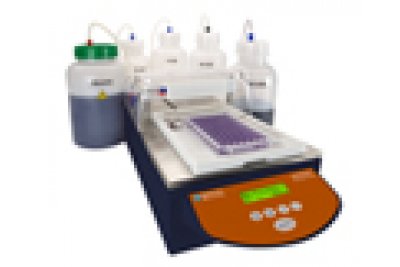 MultiWash+微孔板洗板机洗板机 蛋白质检测应用手册