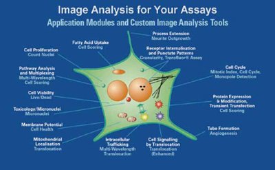  细胞生物学成像分析美谷分子MetaMorph 适用于图像分析