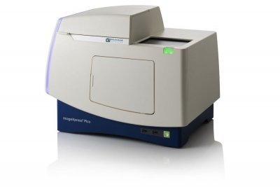 ImageXpress Pico细胞成像/活细胞成像自动化细胞成像分析系统 可检测斑马鱼