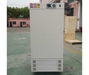 电热恒温培养箱质量可靠DHP-9082报价