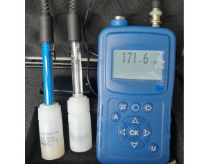 LZ-YT便携式pH/ORP检测仪 