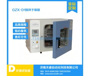天睿GZX-D-1经济款鼓风干燥箱，鼓风干燥箱，干燥箱