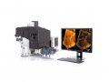 蔡司蔡司超高分辨率显微镜