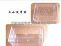 精诚华泰HLN-12北京种子发芽盒/种子发芽箱厂家/种子发芽盒价格
