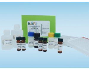 沙丁胺醇检测试剂盒 210201