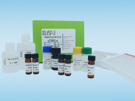 <em>呋喃</em>西林代谢物检测试剂盒 5018