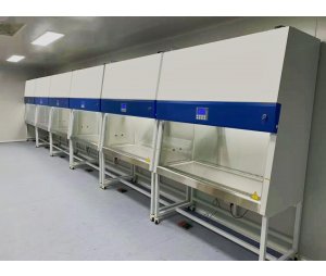 生物安全柜实验室二级洁净柜单人双人三人医疗屠宰场PCR阳性对照