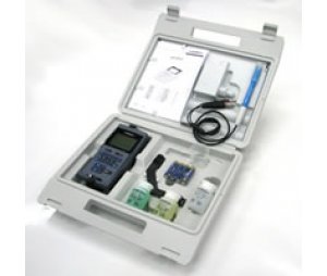 pH 3310手持式PH/mV测试仪