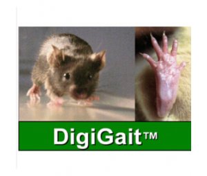  DigiGaitTM啮齿动物步态分析系统