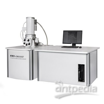 场发射扫描电子显微镜KYKY-EM8000扫描电镜 样本