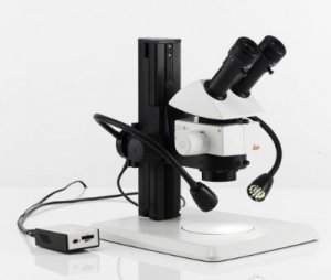 M系列立体显微镜