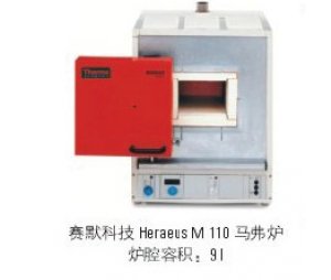 Thermo Scientific   马弗炉M110