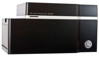IN <em>Cell</em> Analyzer 6000激光共聚焦成像分析系统