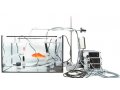 鱼类与水生生物呼吸测量系统