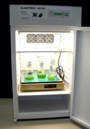 AG 130-ECO藻类生长室