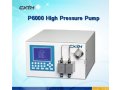 P6000制备型高压输液泵（P6000