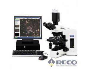 专业偏光显微镜 BX51-P
