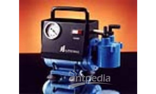 AP-9901S型无油真空/压力泵