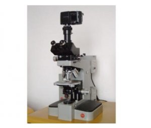 LEITZ OTHOLUX-II POL 偏光显微镜