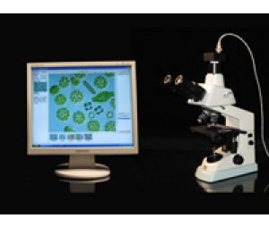 迅数Algacount S200型藻类智能鉴定计数仪