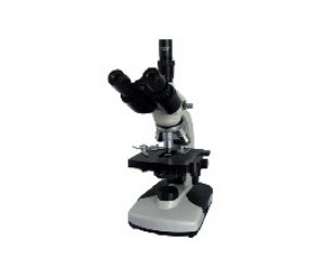三目简易偏光显微镜