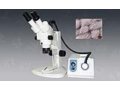 PXS8-Te同轴光体视显微镜