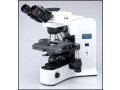 BX41奥林巴斯生物显微镜