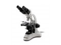 意大利optika生物显微镜（OPTIKA