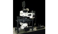 Nanonics 原子力显微镜－MV4000