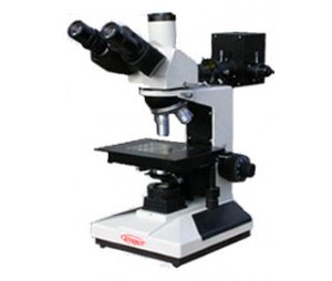 记录内脏一体化光学显微镜