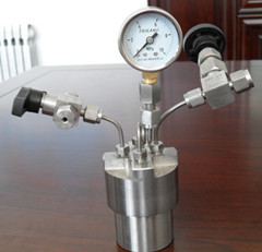 CGF-100ml 实验室微型高压反应釜