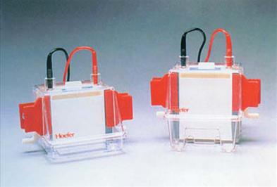 Hoefer MiniVE、<em>SE250</em>、<em>SE260</em> 垂直电泳系统