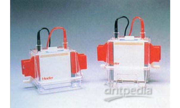Hoefer MiniVE、SE250、SE260 垂直电泳系统